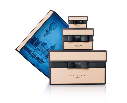 Levehető fedeles doboz - CF